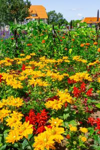 20%20Jahre%20Gartenschau%20bluhende%20Erinnerungen-aaaa8c92 Veranstaltungen im B&uuml;rger und Miniaturenpark